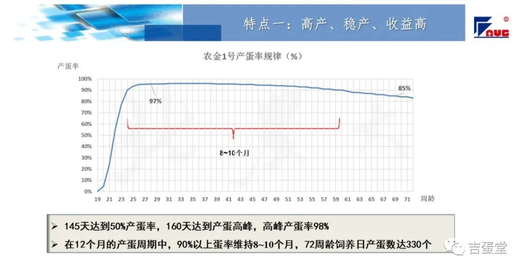 qw15.jpg