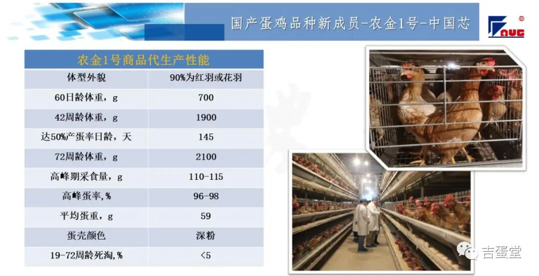 qw14.jpg