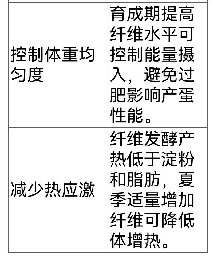 qw3.jpg