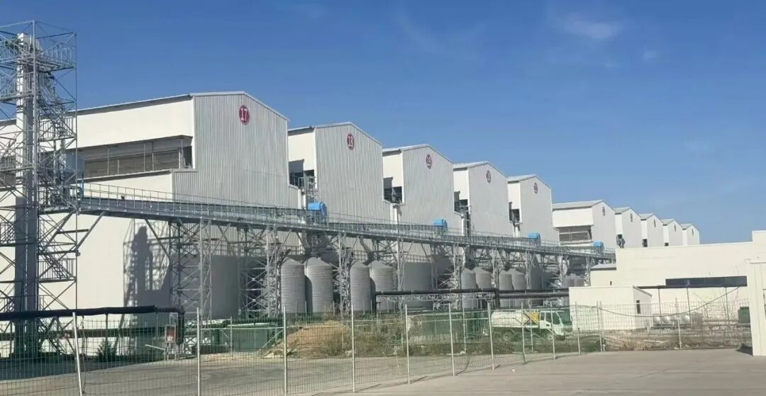 qw3.jpg