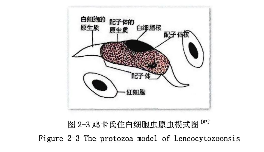 qw13.jpg
