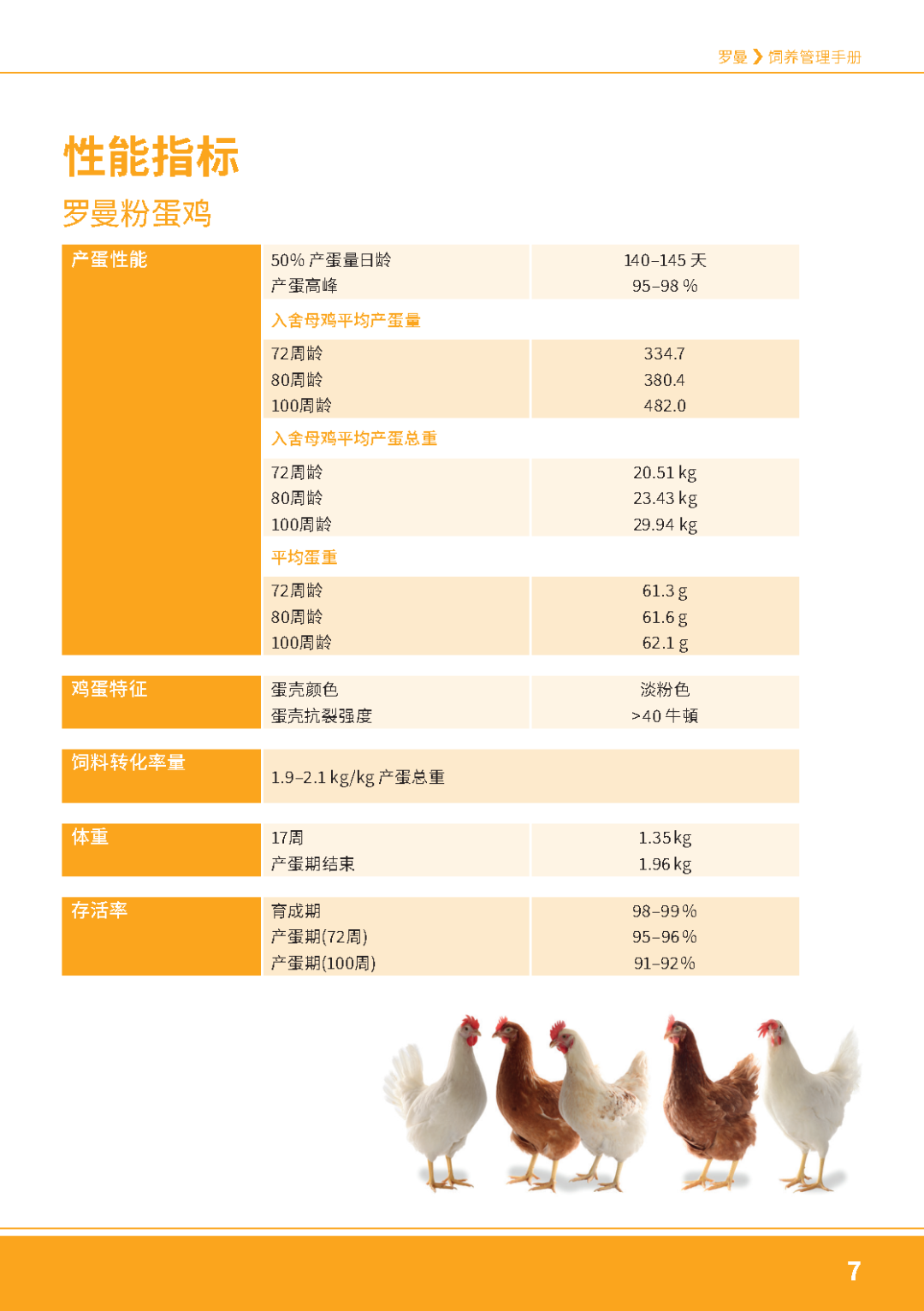 qw7.jpg