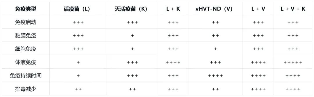 qw8.jpg