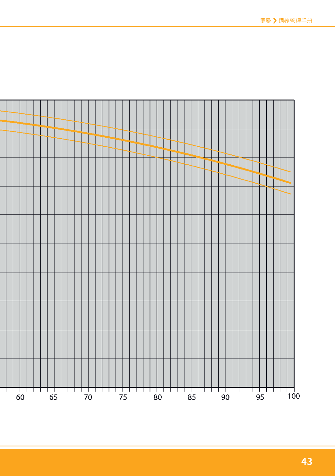 qw19.jpg