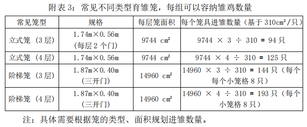 qw5.jpg