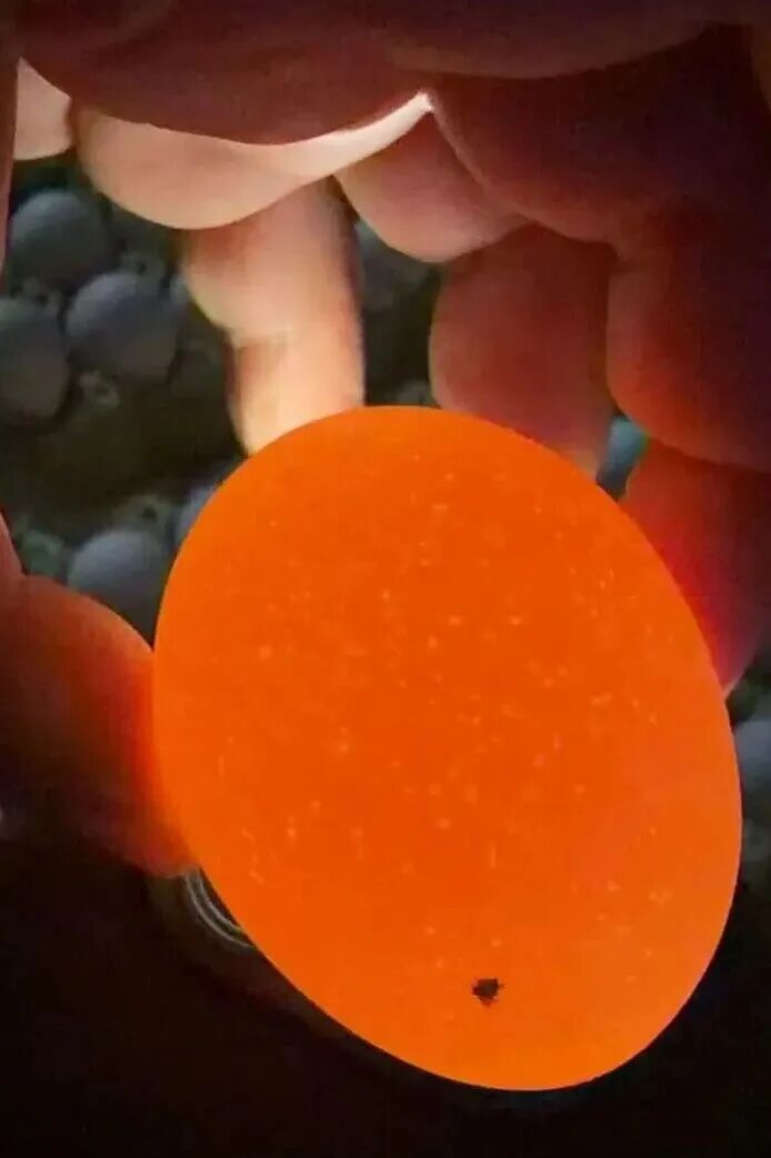 qw1.jpg