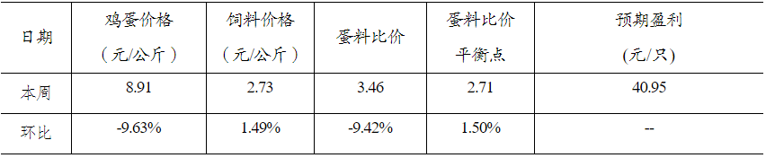 qw5.jpg