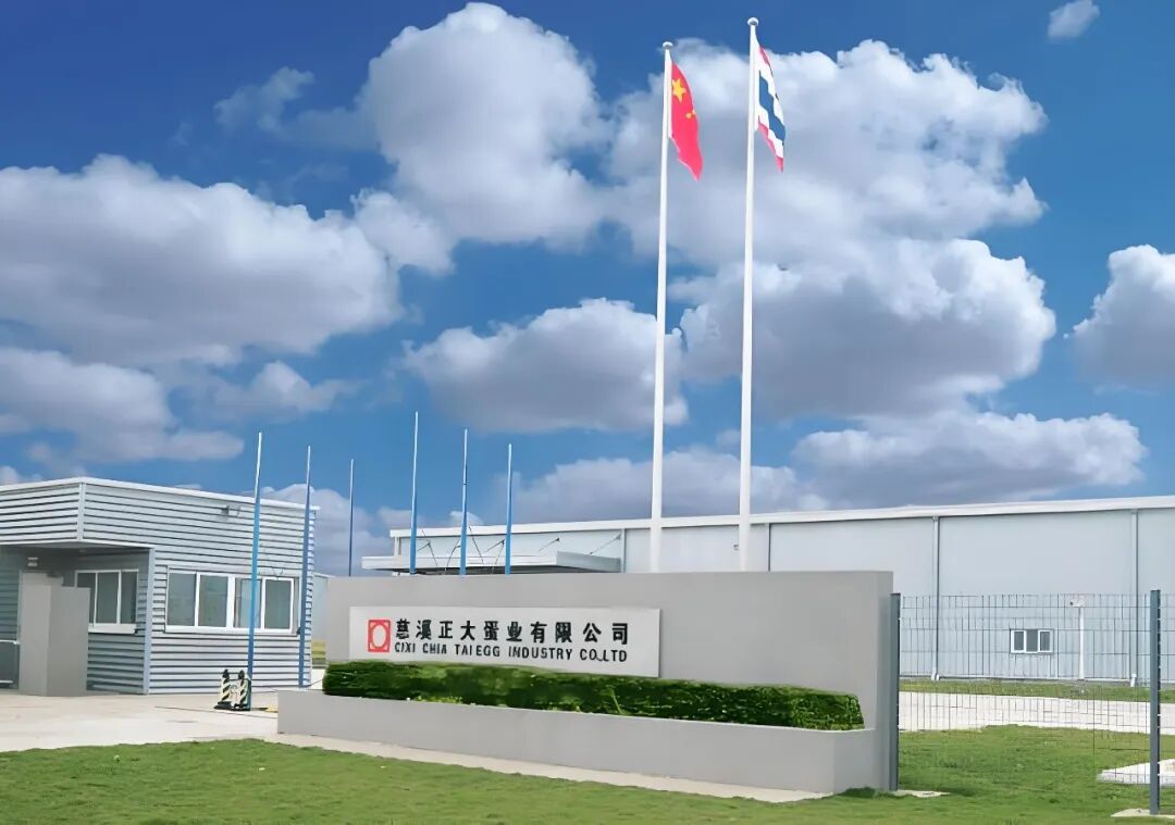 qw6.jpg