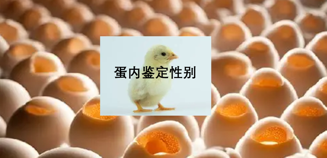 qw1.jpg