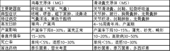 qw1.jpg