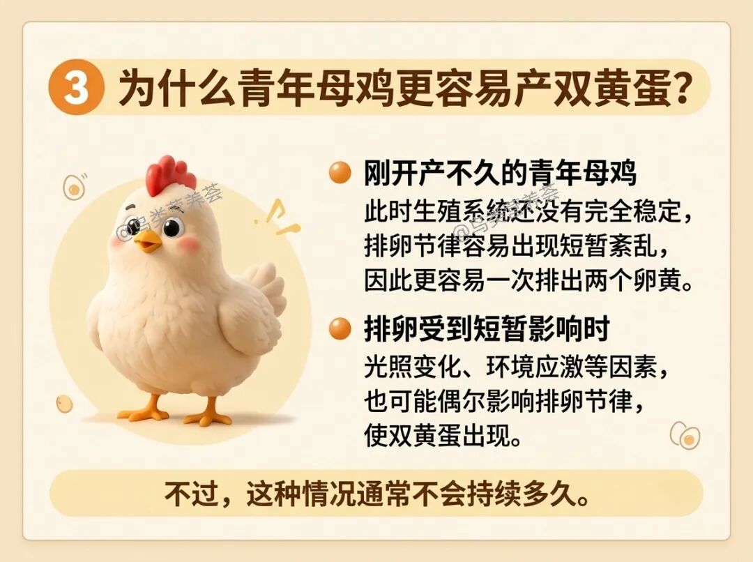qw3.jpg