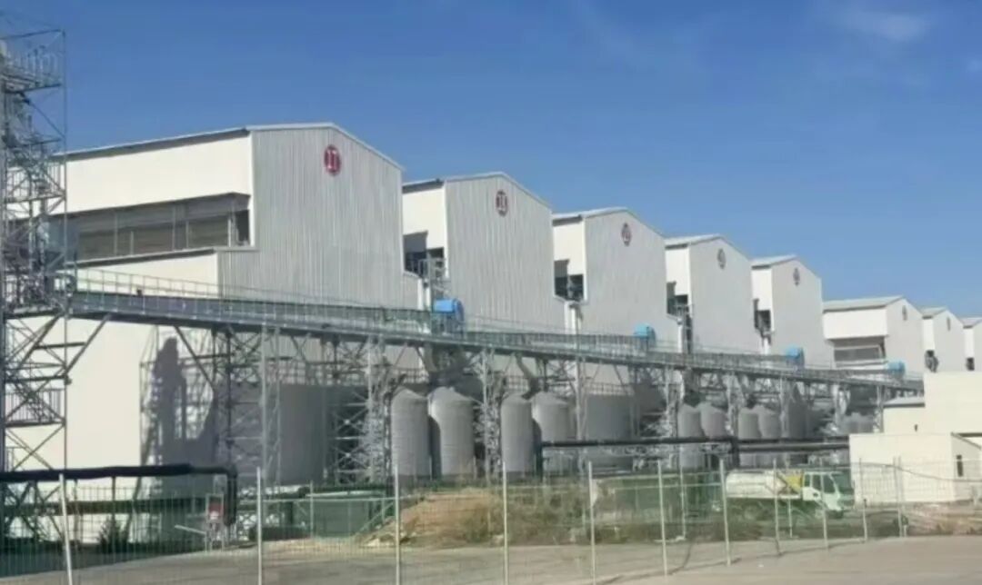 qw3.jpg