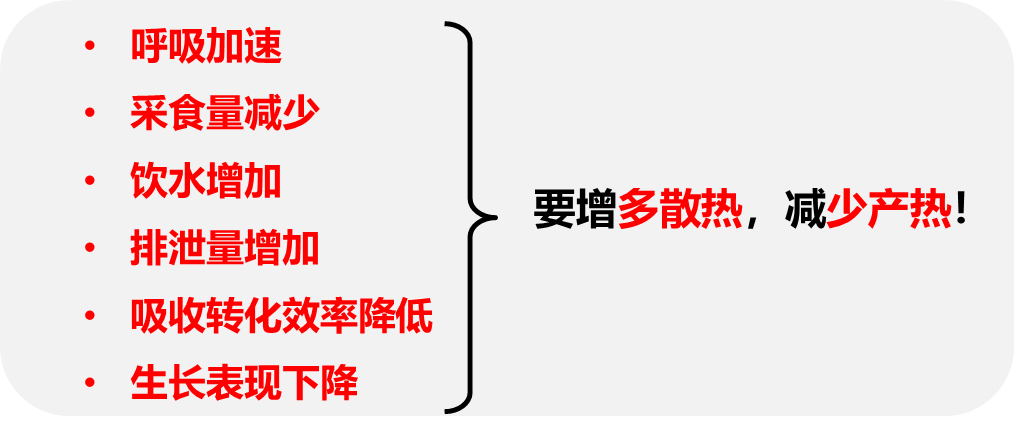 qw4.jpg