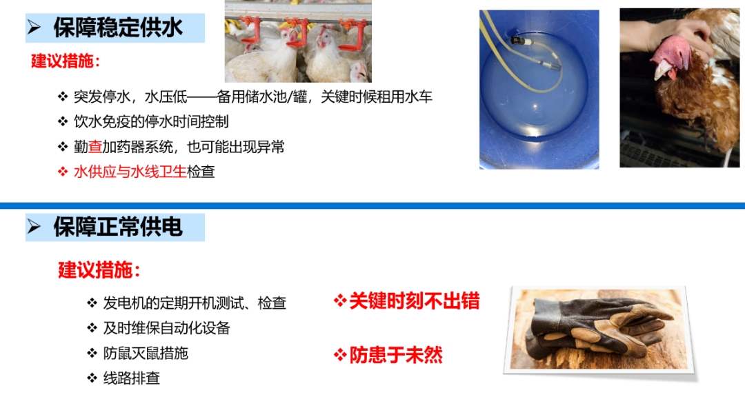 qw15.jpg