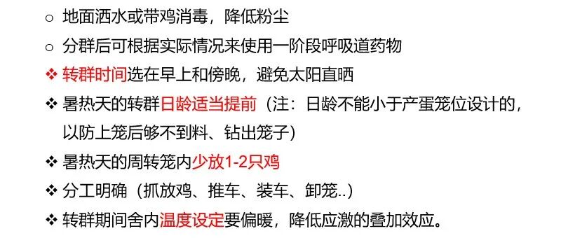 qw14.jpg