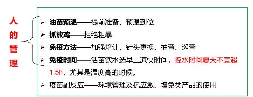 qw13.jpg