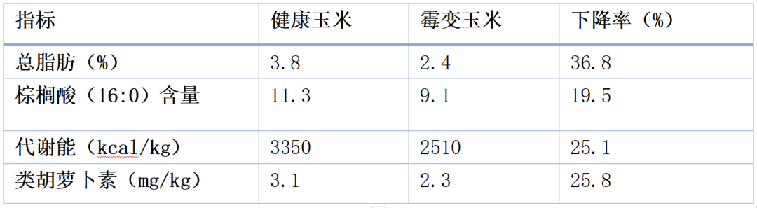 qw4.jpg