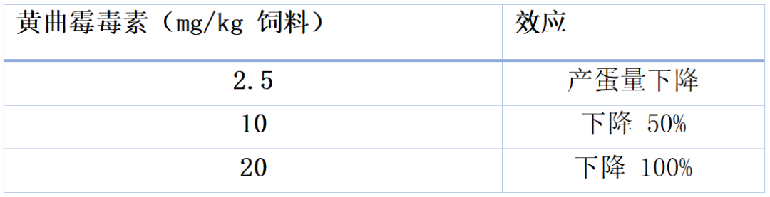 qw9.jpg