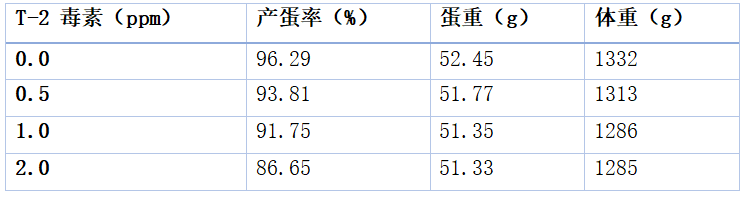 qw13.jpg