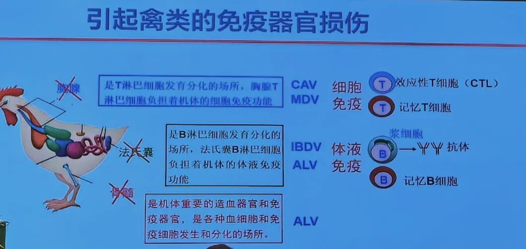 qw3.jpg