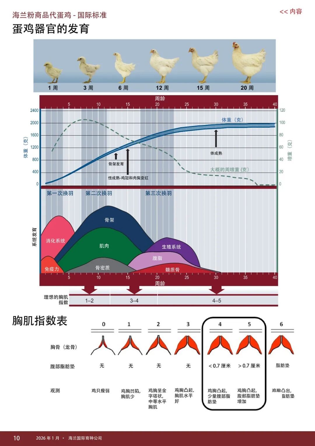 qw10.jpg