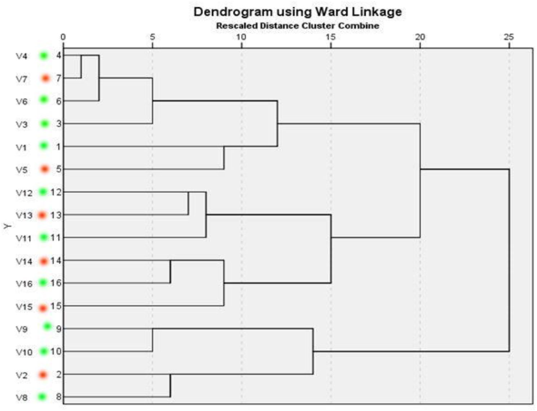 qw17.jpg