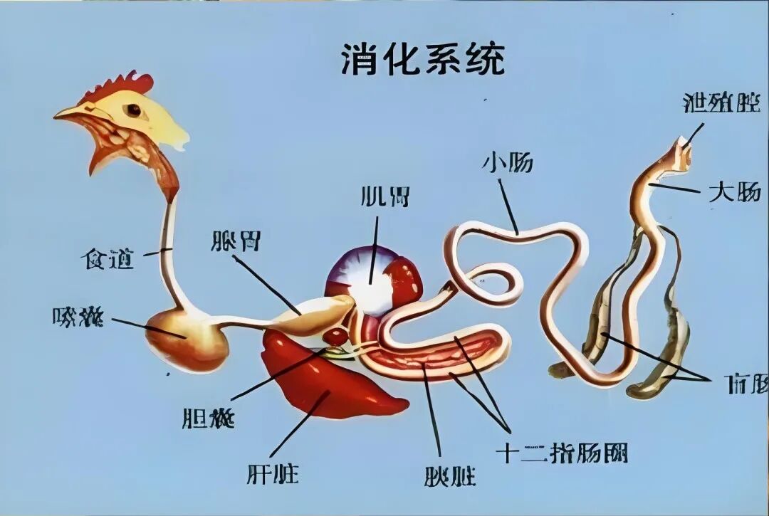 qw1.jpg