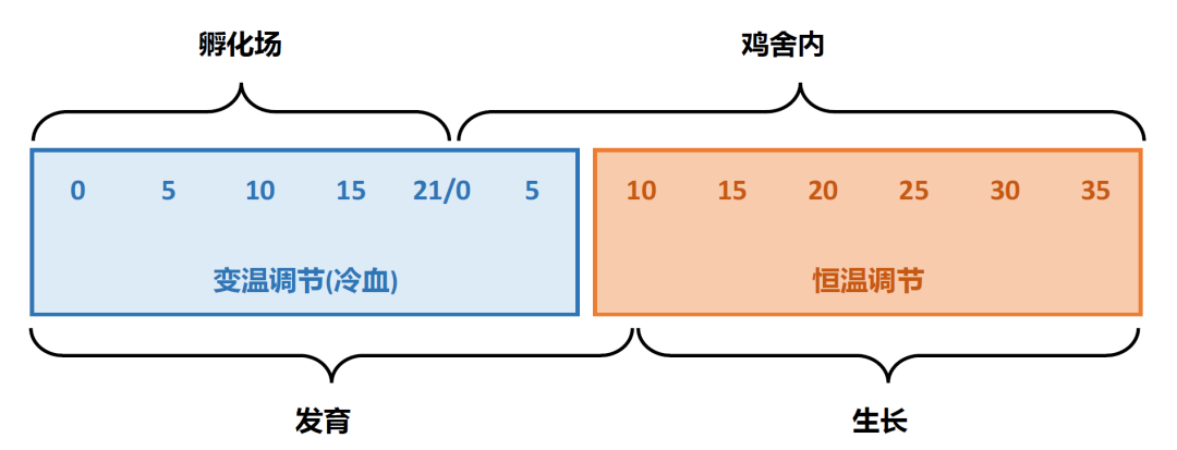 qw4.jpg