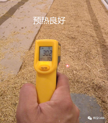 qw7.jpg