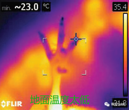qw10.jpg