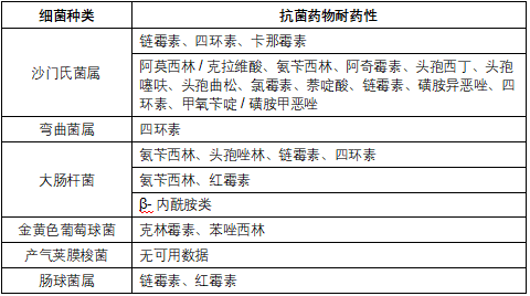 qw9.jpg