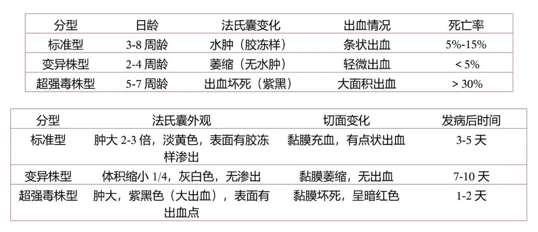 qw7.jpg