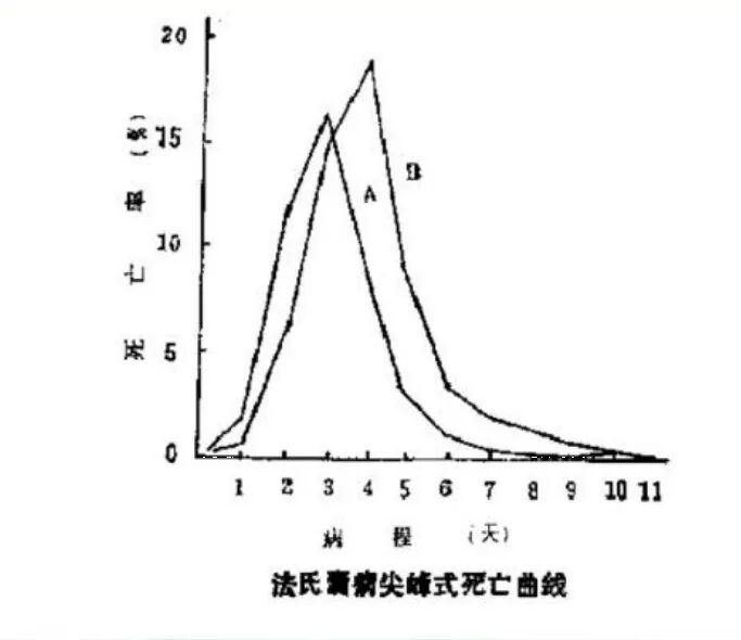 qw4.jpg