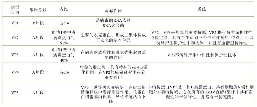 qw11.jpg
