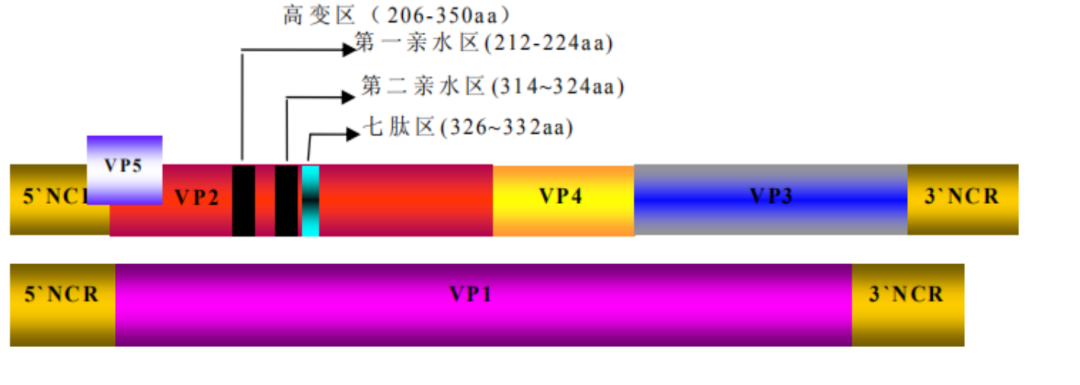 qw9.jpg