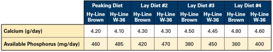 qw6.jpg