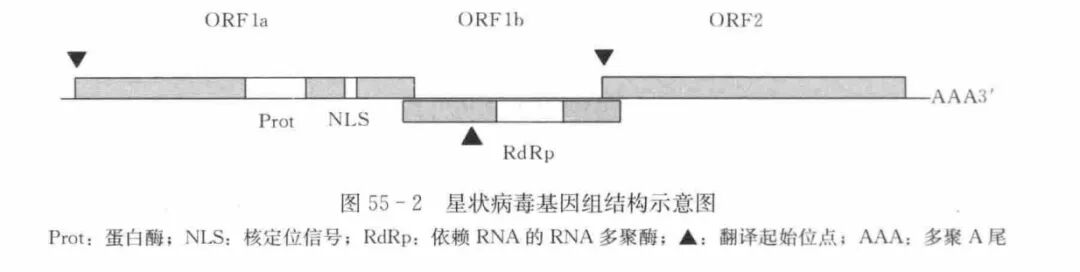 qw6.jpg