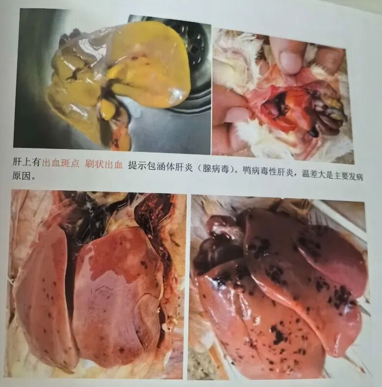 qw10.jpg