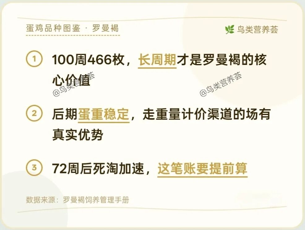 qw5.jpg