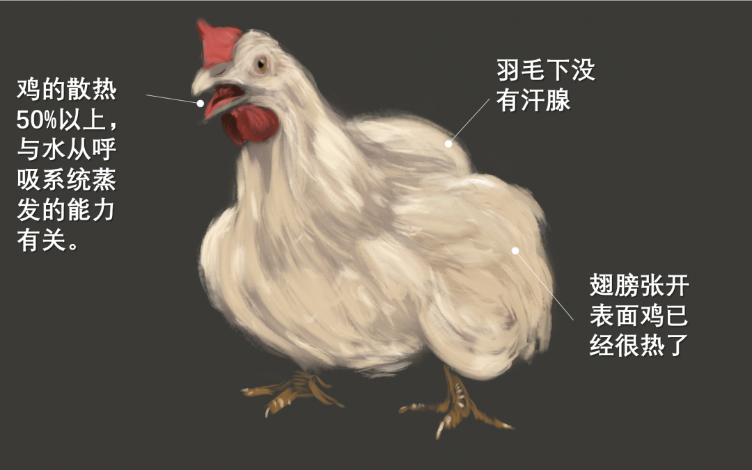qw5.jpg