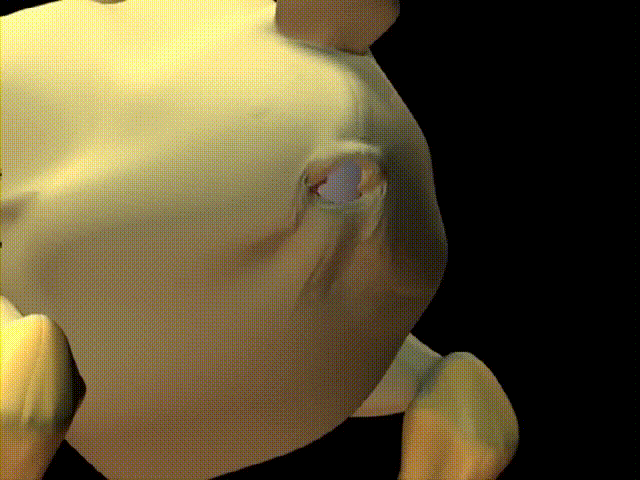 qw6.jpg