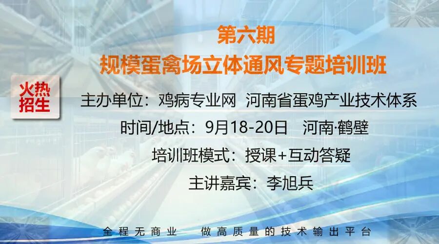 qw1.jpg