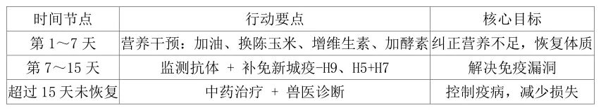 qw5.jpg