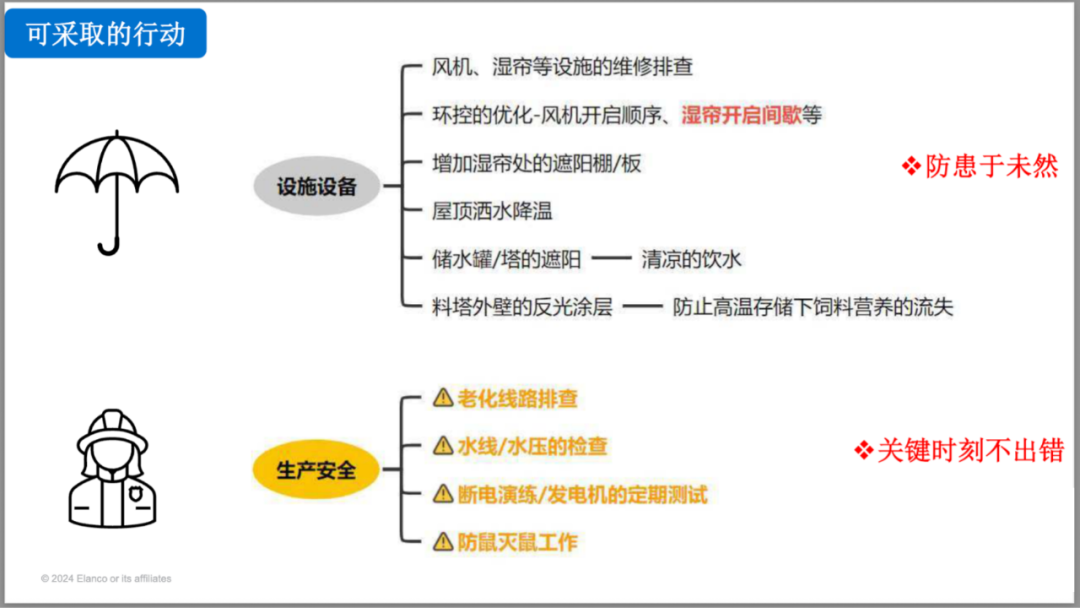 qw4.jpg