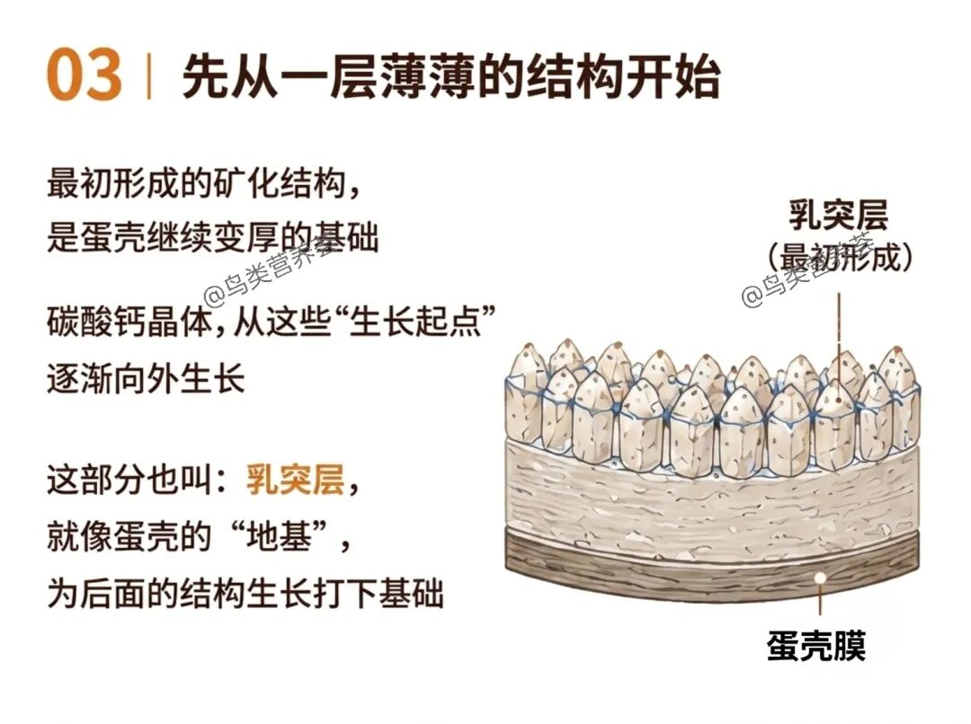 qw3.jpg