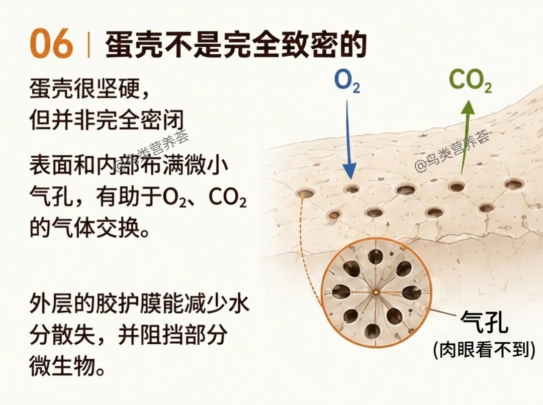 qw6.jpg