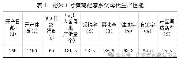 12_����.png