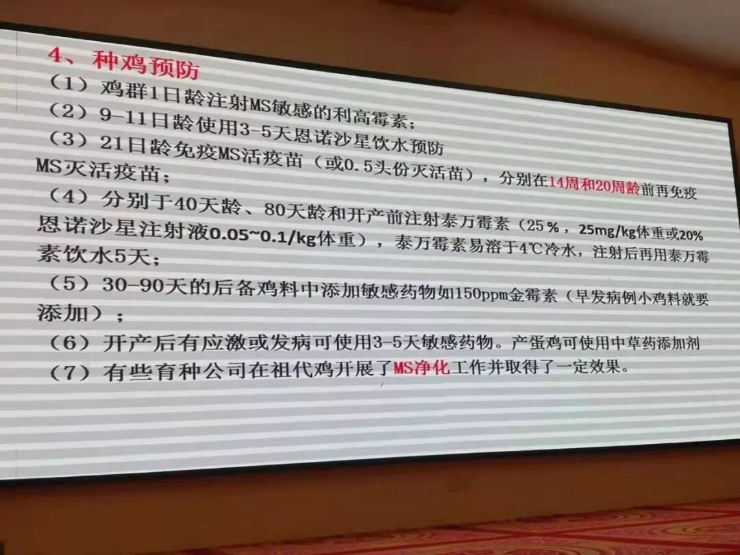 qw7.jpg