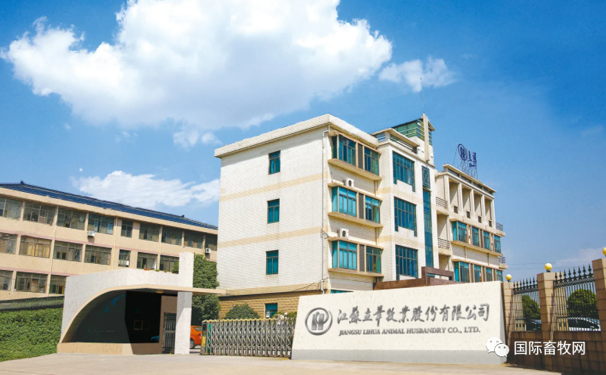 qw6.jpg