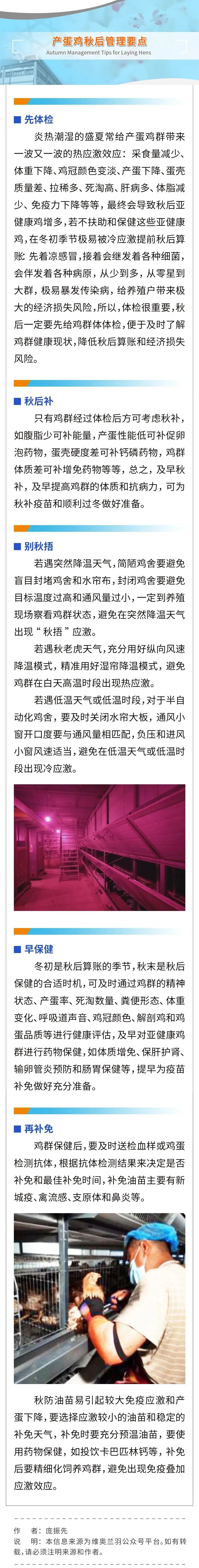 qw1.jpg